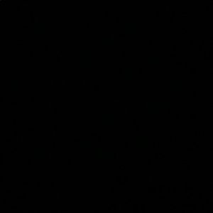 Meet your Posher, Shay